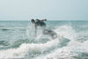 AWAKE RÄVIK S eSurfboard | Motorized electric Jetboard