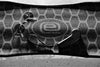 CARBON EVONOSS | 2in1 Elektro-Longboard